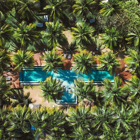 Villas Tature São Miguel dos Milagres Екстериор снимка