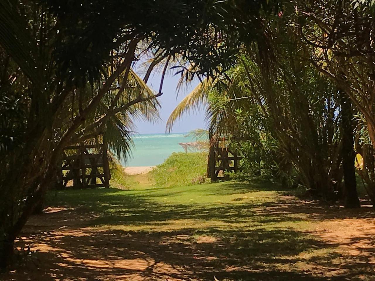 Villas Tature São Miguel dos Milagres Екстериор снимка